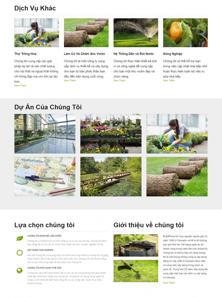 Mẫu thiết kế website giới thiệu công ty chất lượng cao