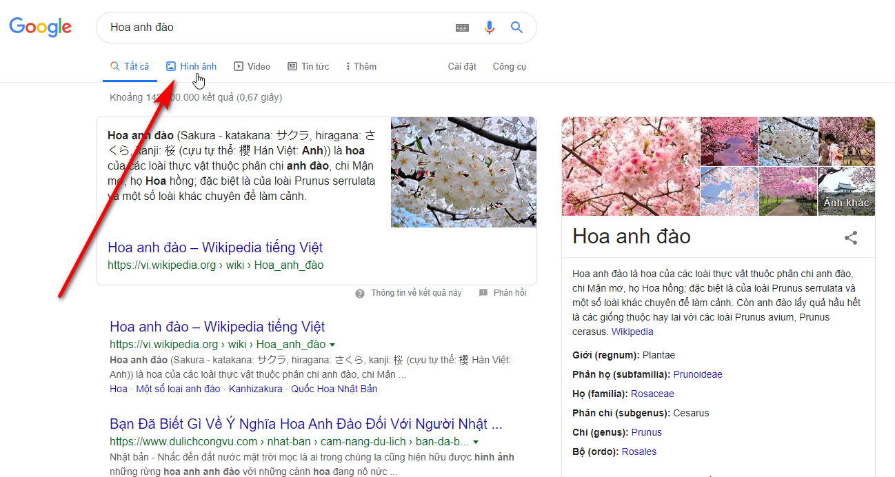 Hướng dẫn tìm và lấy ảnh chất lượng cao trên Google Image - Free ...