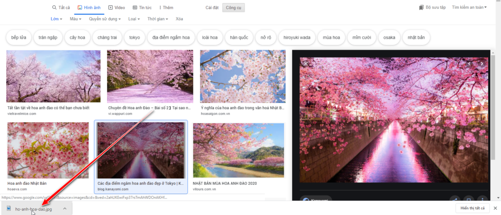 Hướng dẫn tìm và lấy ảnh chất lượng cao trên Google Image