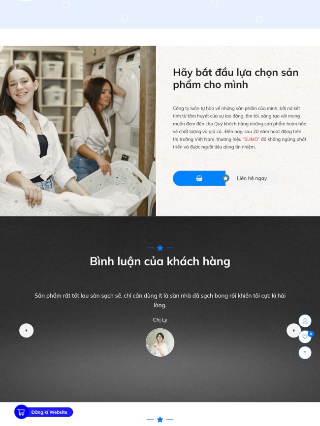 Trang con của mẫu website kinh doanh chất tẩy rửa